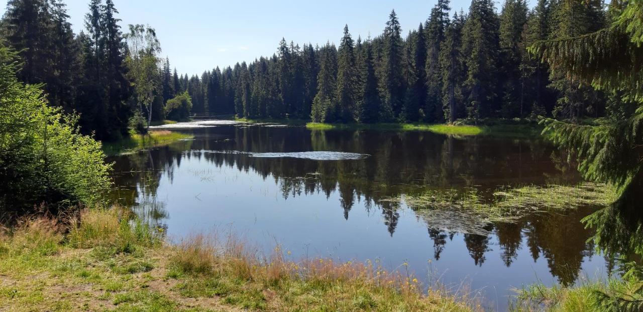Penzion Jizerska Malina Bedrichov  Bagian luar foto