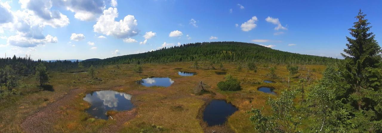 Penzion Jizerska Malina Bedrichov  Bagian luar foto